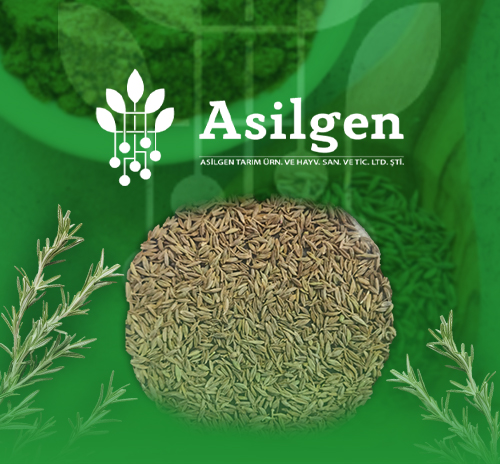 ENDÜSTRİ BİTKİLERİ