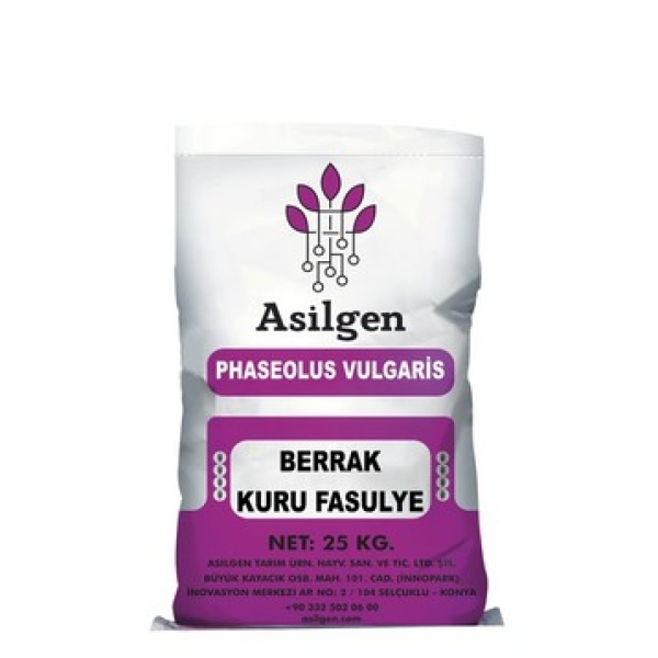 BERRAK KURU FASULYE (Phaseolus vulgaris)