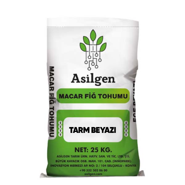 TARM BEYAZI Macar Fiğ Tohumu (Vicia pannonica CRANTZ.)